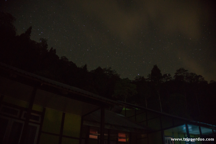 The cottages with the forest behind under the clear starry night